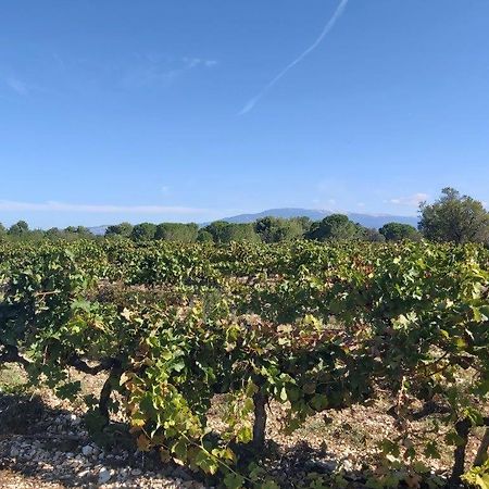 Gite Dans Les Pins Avec Piscine Villa Mazan Luaran gambar