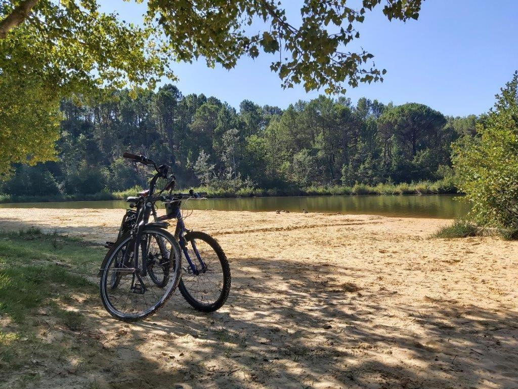 Gite Dans Les Pins Avec Piscine Villa Mazan Luaran gambar